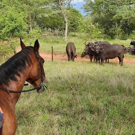 Wild Ride Safaris And Bush Camp Villa Hoedspruit Exterior photo