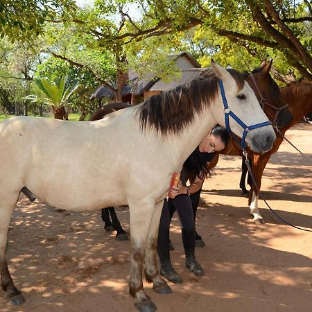 Wild Ride Safaris And Bush Camp Villa Hoedspruit Exterior photo