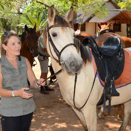 Wild Ride Safaris And Bush Camp Villa Hoedspruit Exterior photo