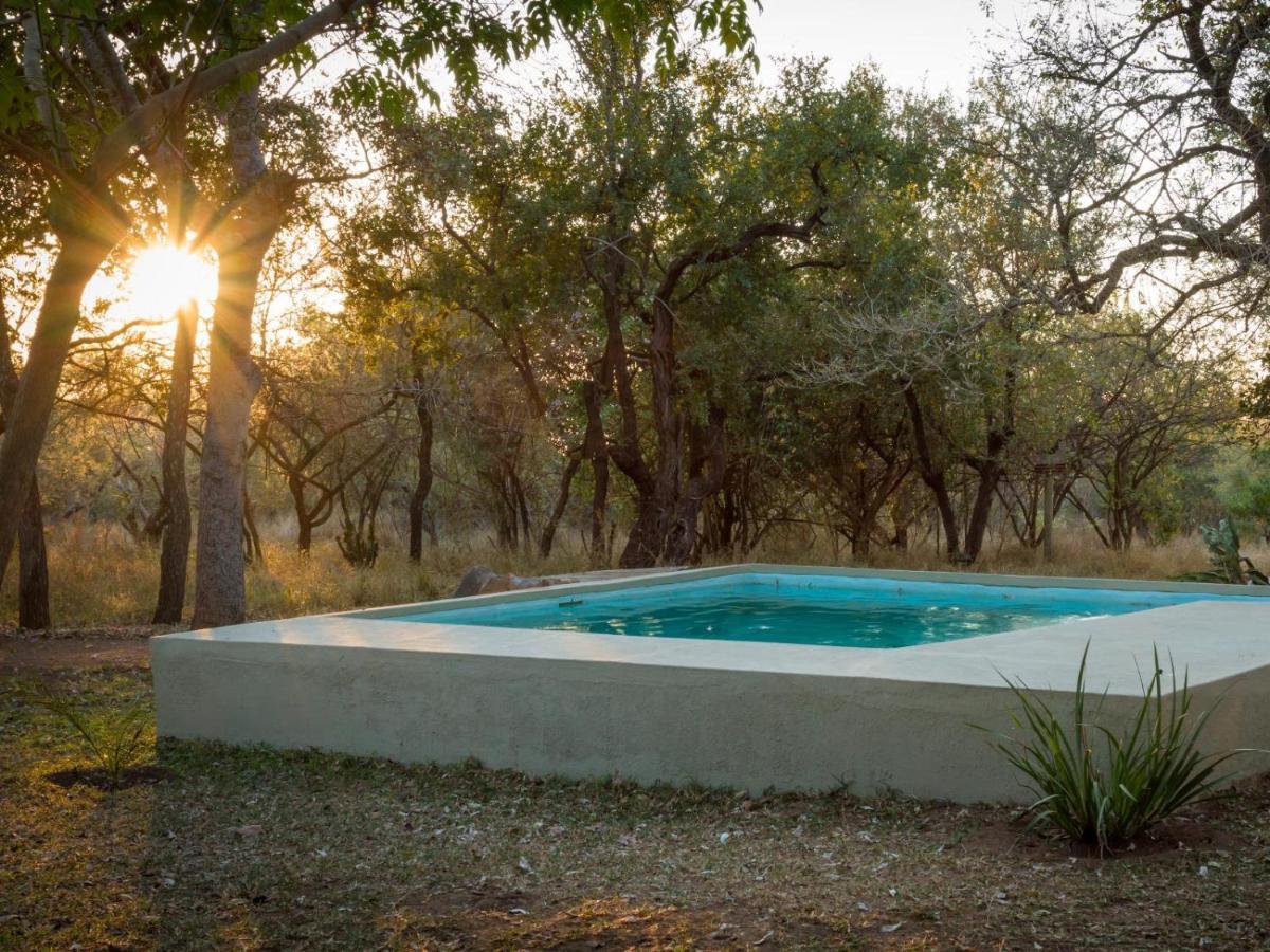 Wild Ride Safaris And Bush Camp Villa Hoedspruit Exterior photo
