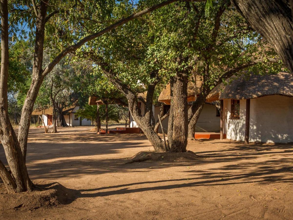 Wild Ride Safaris And Bush Camp Villa Hoedspruit Exterior photo