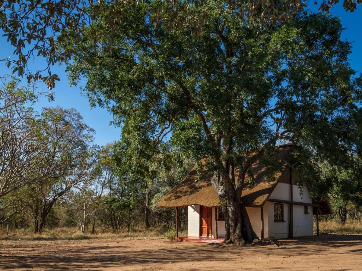 Wild Ride Safaris And Bush Camp Villa Hoedspruit Exterior photo
