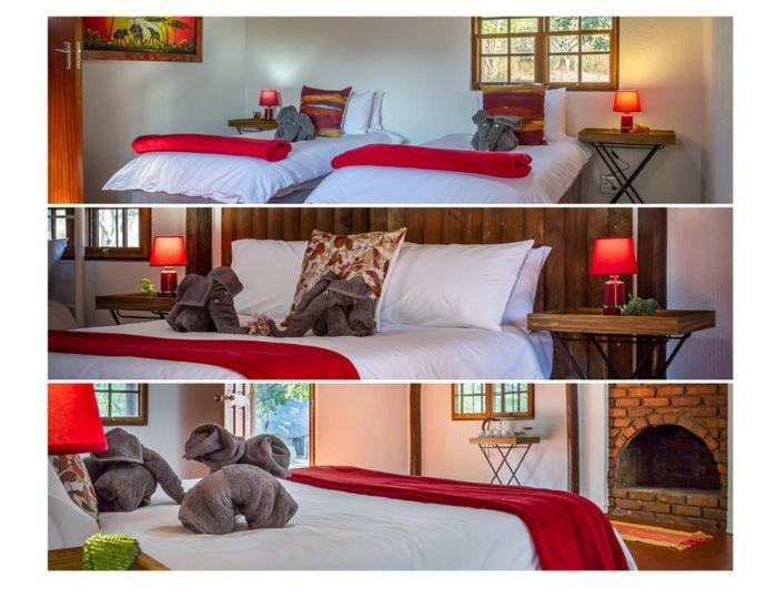 Wild Ride Safaris And Bush Camp Villa Hoedspruit Exterior photo