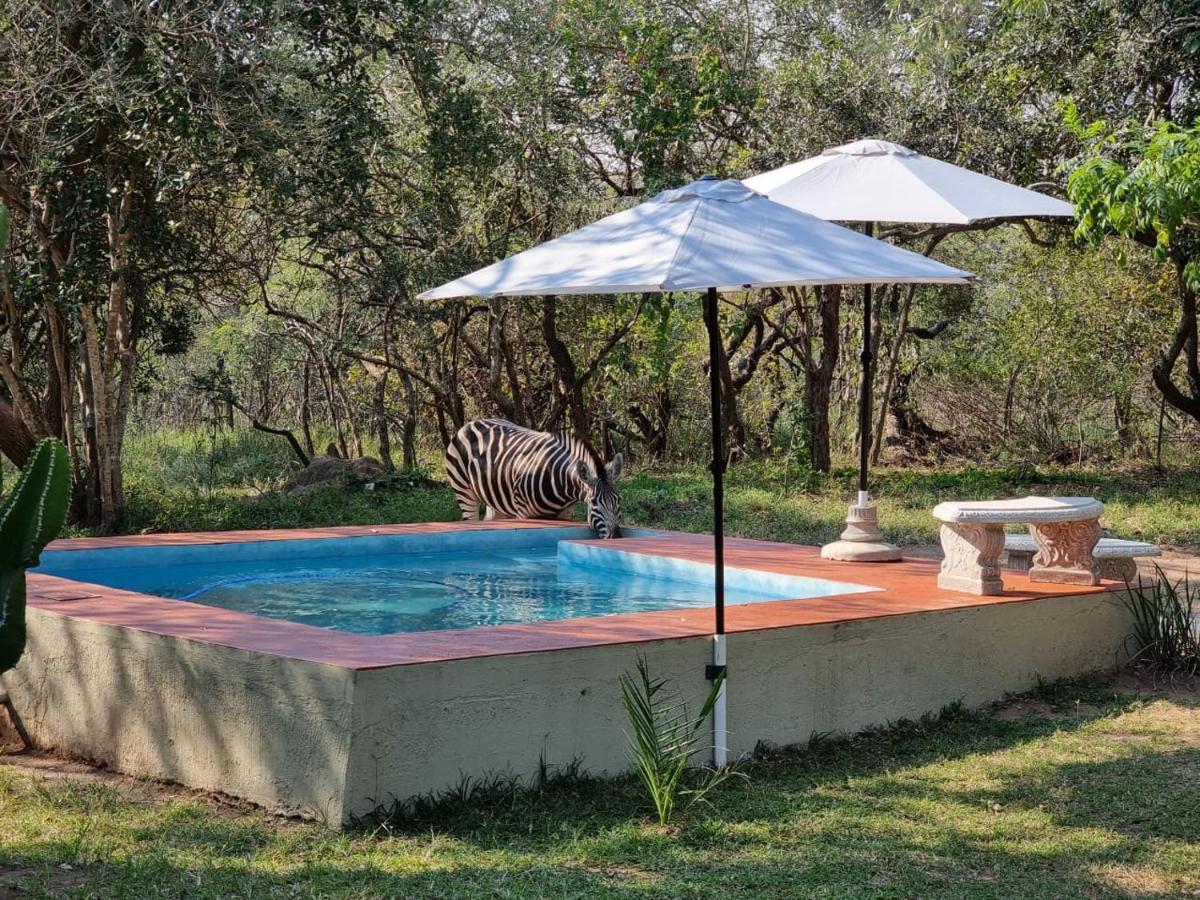 Wild Ride Safaris And Bush Camp Villa Hoedspruit Exterior photo