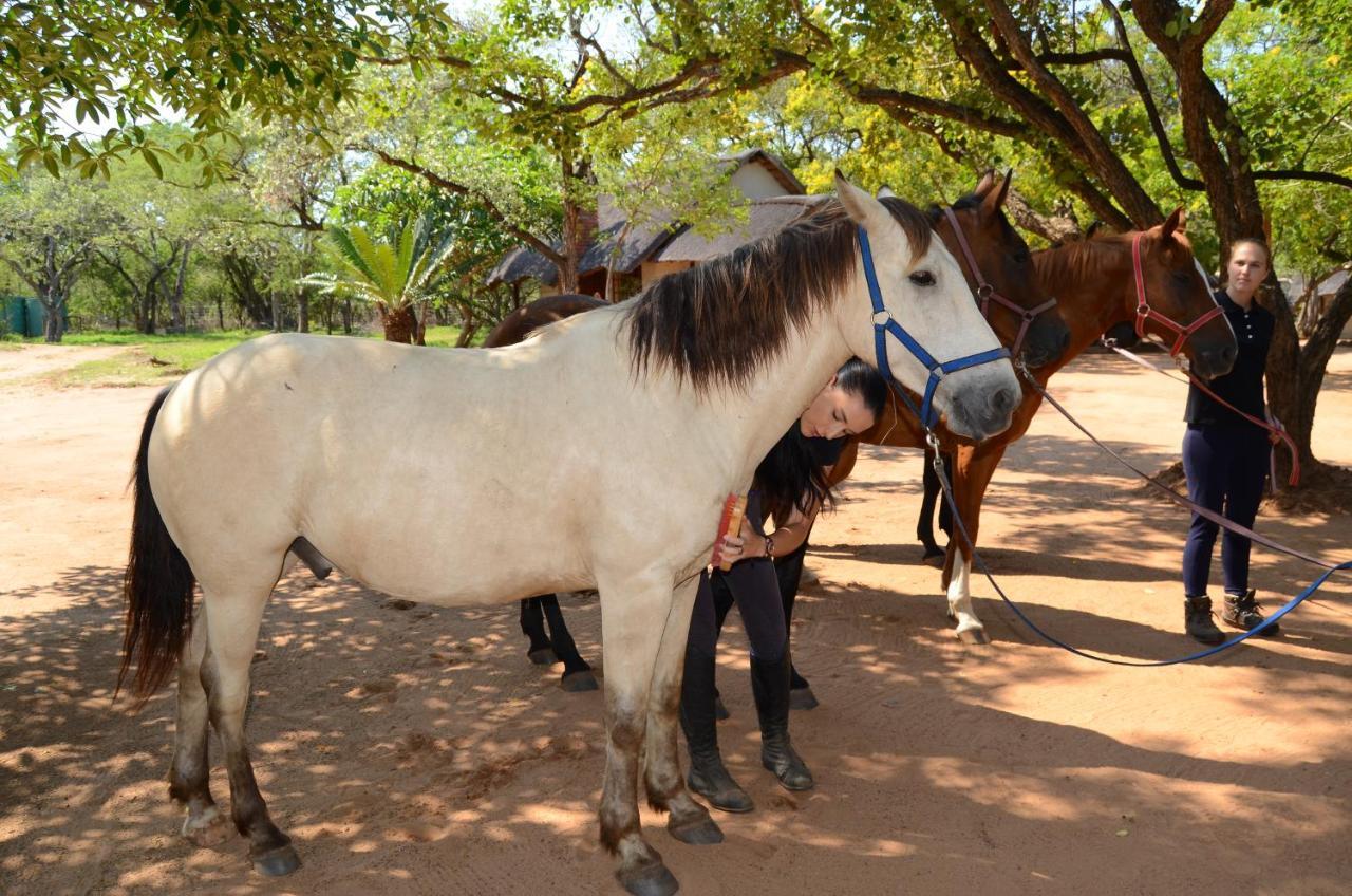Wild Ride Safaris And Bush Camp Villa Hoedspruit Exterior photo