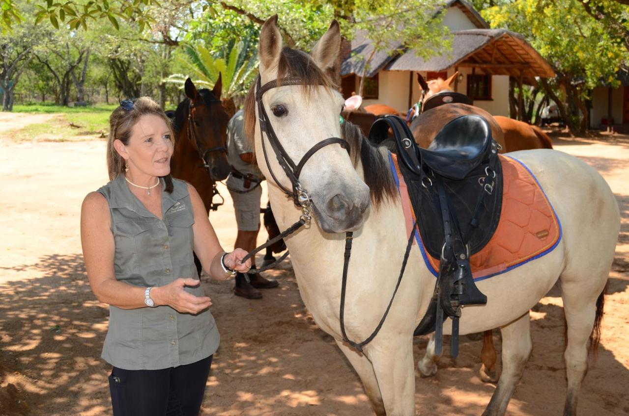 Wild Ride Safaris And Bush Camp Villa Hoedspruit Exterior photo